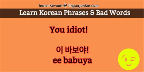 idiot in korean.
